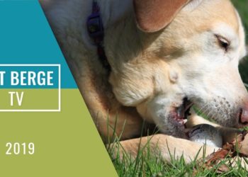 Gut Berge TV vom 02. Mai 2019
