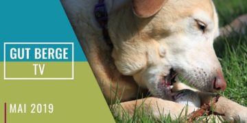 Gut Berge TV vom 02. Mai 2019